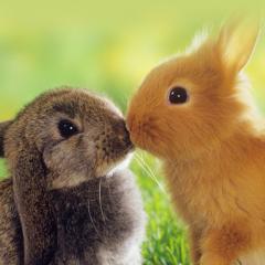 もちみなのトーク(∗ ❛⃘ ❛⃘∗)