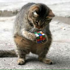 がりれお( ´ ▽ ` )ﾉ