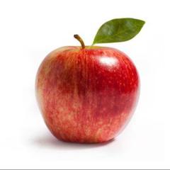 ヌルぽのUnityでゲーム開発日記