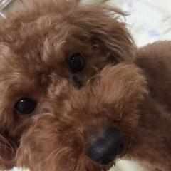 💕ＹＵＲＩＫＡ💕