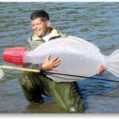 面白写真集 ＋ α。