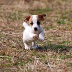 ♡♣♤♥♦かずやん←まいこむ命名