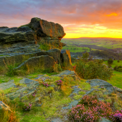 ミック∞のトーク