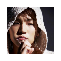 がんちゃん大好きな人カモーン