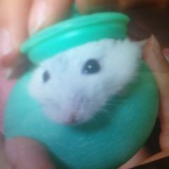 おーい！ピンキー