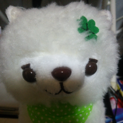 トークで勝てるやつ！付き会え