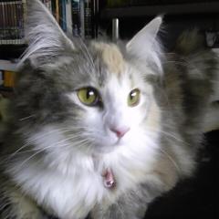 keisuke.kのトーク