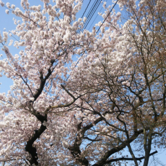 日常トーク(⌒ｏ⌒)