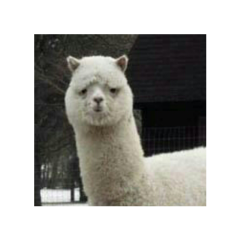 空調界隈(チキパヲタ)のトーク