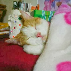 じろーのトーク