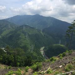 ヽ(*･ᗜ･)ﾉ💥ヽ(･ᗜ･* )ﾉ ﾊｲﾀｯﾁ!