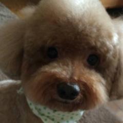 顔採点する〜ぞ〜(￣Д￣)ﾉ