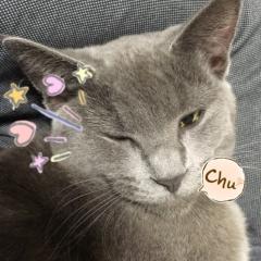 光の翼