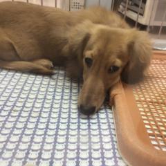 福岡県民集合ww