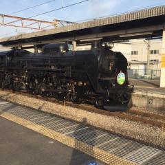 ダチョウのコックさんのトーク