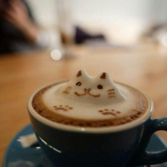 お友達になってくれる人募集♥