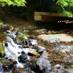 写真撮るのが好きな人。
