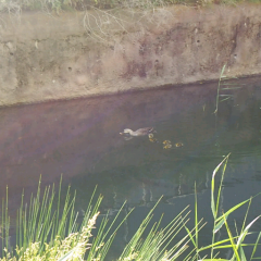 ひろきちのトーク