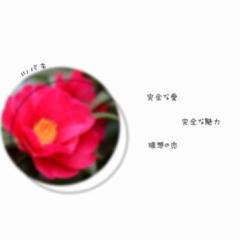 花言葉&誕生日...♪*ﾟ