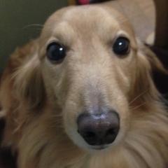 ハッピーモッピーのトーク