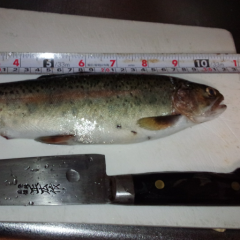 釣りグル作らないですか？