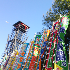 相撲と野球が好きなまりりんトーク。