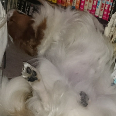 誰でもトーーーークww