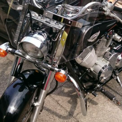 |･д･)｡o(にゃー)