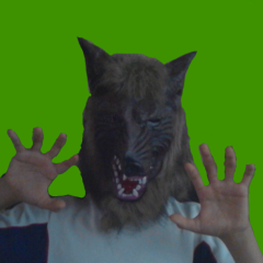 ウォルフチャンネルのトーク