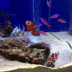 僕とつきあえる人ー！