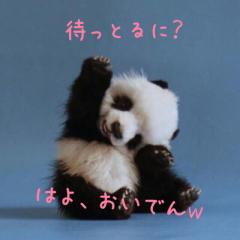 3人戻ってこいっ|ω･`)ﾁﾗｯw