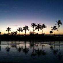 Holstein_gogo⊿のトーク