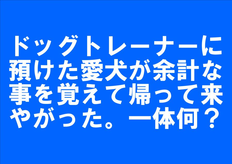 投稿画像