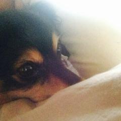 暇人かもーん！