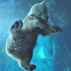 ユウシャラムネスのトーク