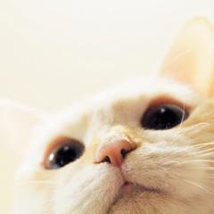 ふ〜ちん
