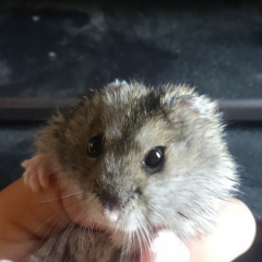 中学生の皆さん‼