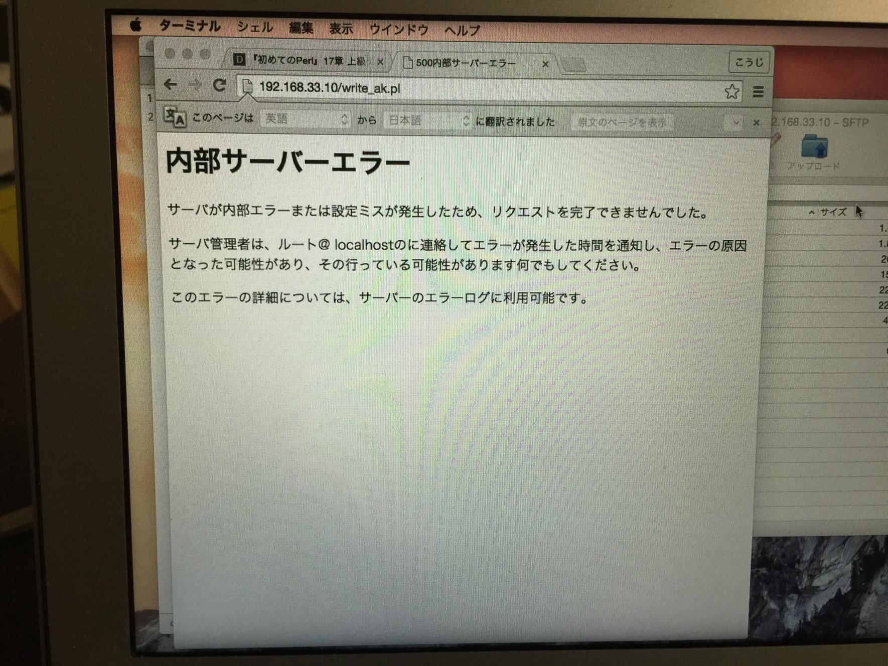 投稿画像