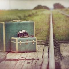 ((((((((((っ･´ｰ･｀)っ