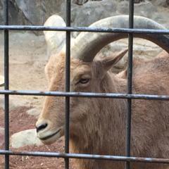 ある日突然中の人になっトーク