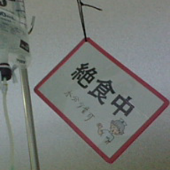 達磨