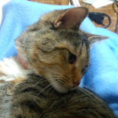 歳気にしない女の子と話したいな