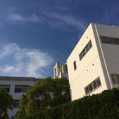 のーぶ