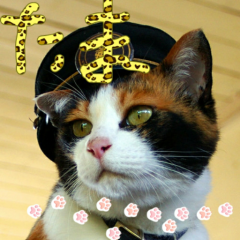 天国のたま駅長🐱