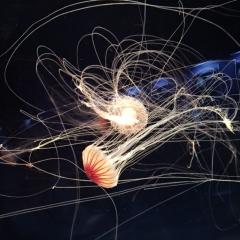 2人のトークだから