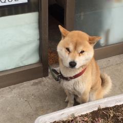 まー