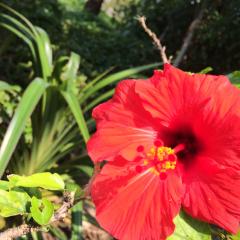 愛華 楼蘭♪( ´▽｀)