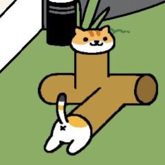 まりちゃん(*'ω'*)