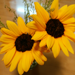 花🌺🌻