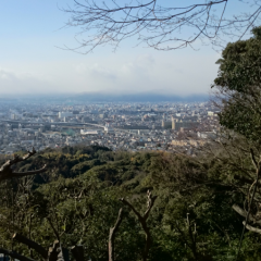 自由奔放なトーク💦